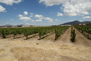  Campos de fazenda 